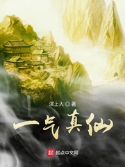 胜算电视剧