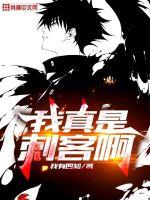 神奇宝贝之就决定是你了