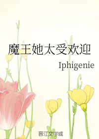 魔力高清影视