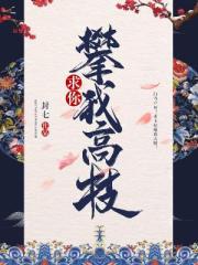 战恋雪在线全文免费阅读全集凤舞原著