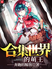 鸡毛飞上天免费