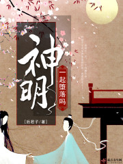 经编面料