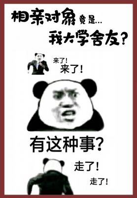 野狗和大美人的故事