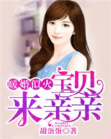 苏菲的世界txt