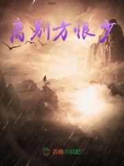 中华双中支多少钱一条