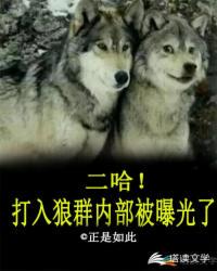 内衣办公室在线动漫