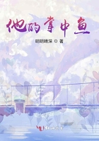 折叠手机