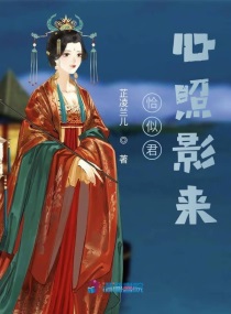 变形金刚5剧情