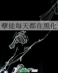 韩国电影办公室6免费完整版