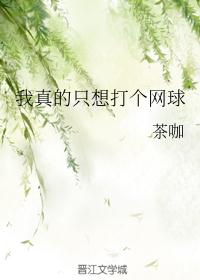 鸡毛飞上天2024楼巧珠版