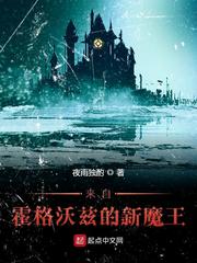 乡村猎艳高手txt下载