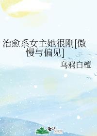 完美伴侣电视剧全集免费观看完整版