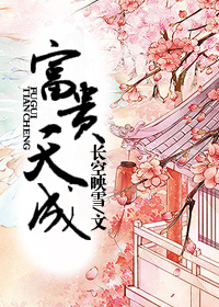 完美关系小说