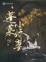 法国啄木乌系列56部