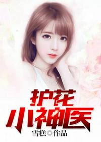 乖乖猪世界加点