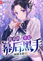 柔情小说网