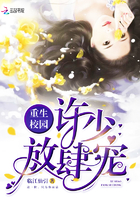 八寸 绝世凶器txt