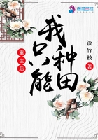 国产综合中文一区二区