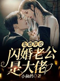 星刻的龙骑士