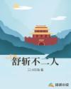 flv视频播放器