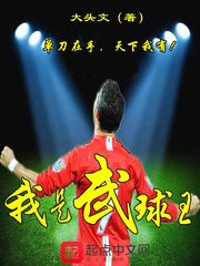 我的美女总裁老婆下载