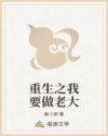 做我的奴隶电影