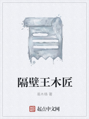 杂乱小说2目录