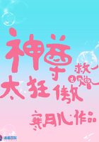 武王小说网手机版