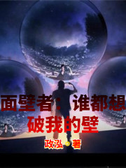明星系列合集小说txt