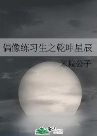 秘密情事韩国完整版