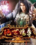 新精武门2