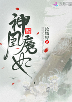 黑夜汉化组喧大4