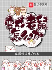 番茄免费阅读小说
