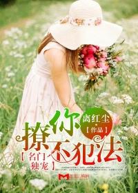y4480高清电视剧免费