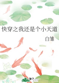 美国式忌讳第13集桥矿8