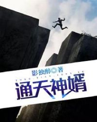 斗破追美记