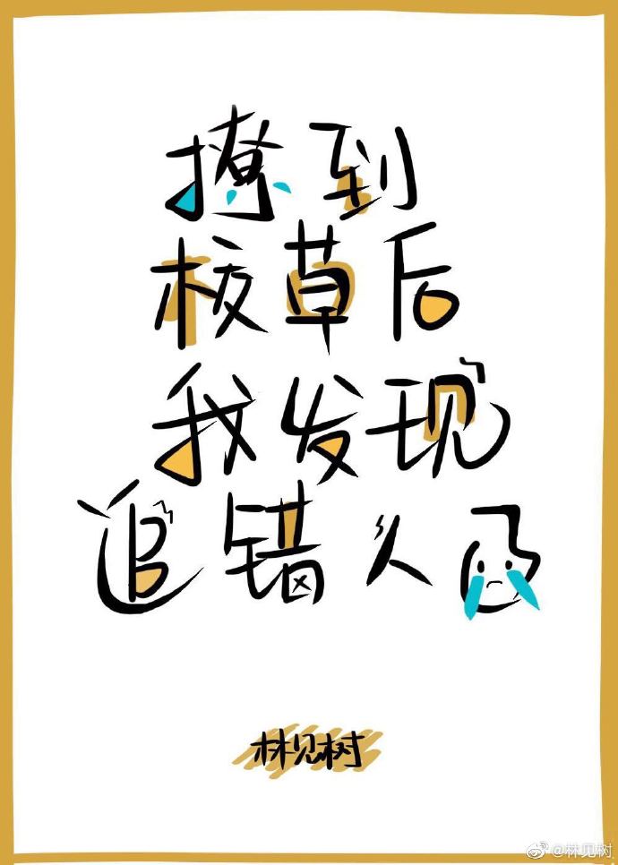 婷婷导航