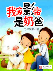 阳炎计划