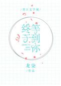 路鸟