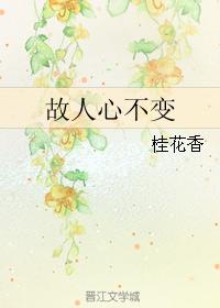 dd242日本高清在线