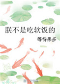 斗罗大陆旧里番