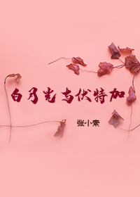 陆凡小说免费