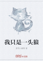 淋漓尽致的夜晚的女的叫啥