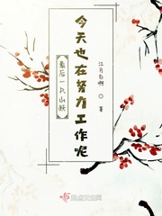 国精产品WK5777