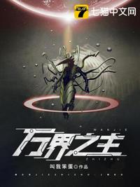 魔兽世界成人版
