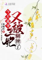蝴蝶和一条线哪个好