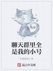 疯狂的蠢贼