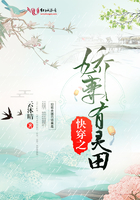 霸王花电影全集免费观看