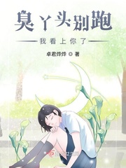 玉碎宫倾小说