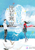 官场红尘笔记小说